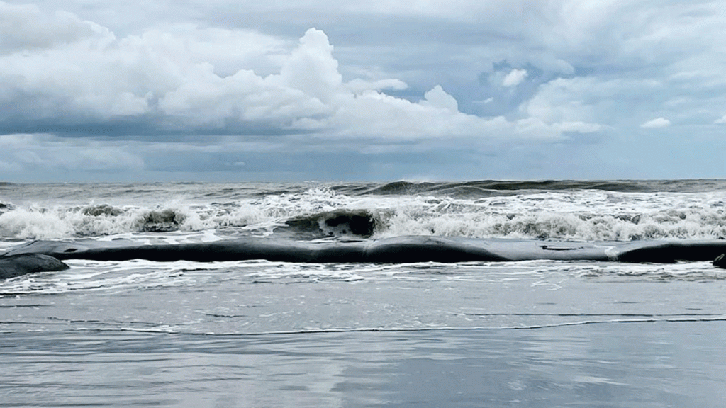 ঘূর্ণিঝড় ‘ডিটওয়াহ’, মাছ ধরা ট্রলারকে উপকূলে থাকার নির্দেশ