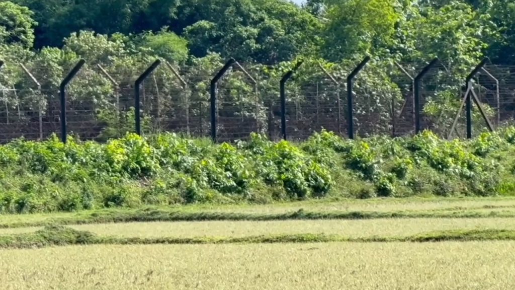 লালমনিরহাট সীমান্তে বিএসএফের গুলিতে বাংলাদেশি যুবক নিহত