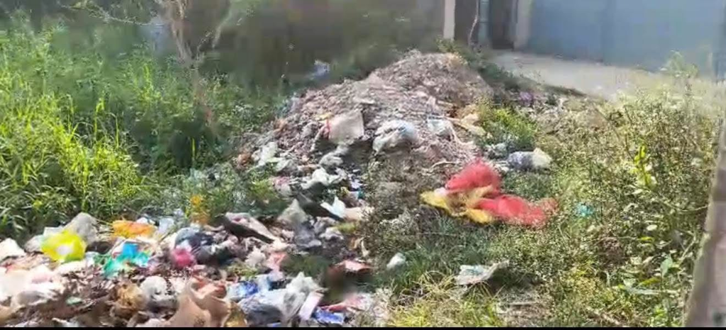 ডেঙ্গুর শঙ্কা, চট্টগ্রামের রামপুর ওয়ার্ডে পরিচ্ছন্নতা নিয়ে উদ্বেগ